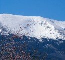 Estampa del Moncayo nevado y luminoso