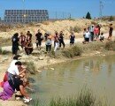 A lavar al barranco. Valpalmas